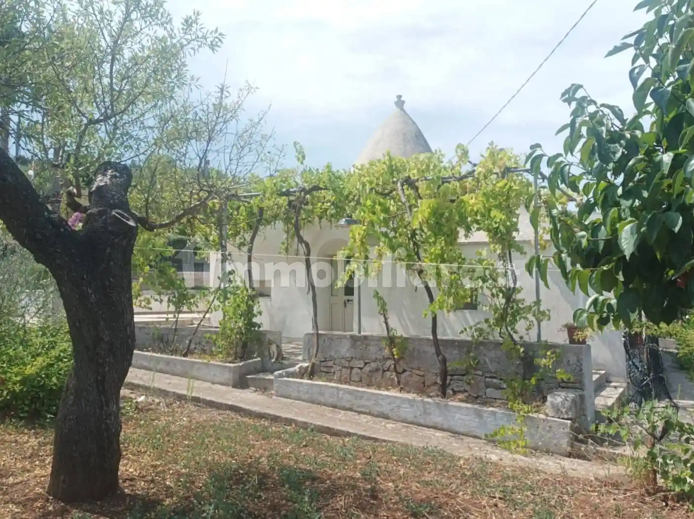 Rustico - Casale in vendita a Putignano