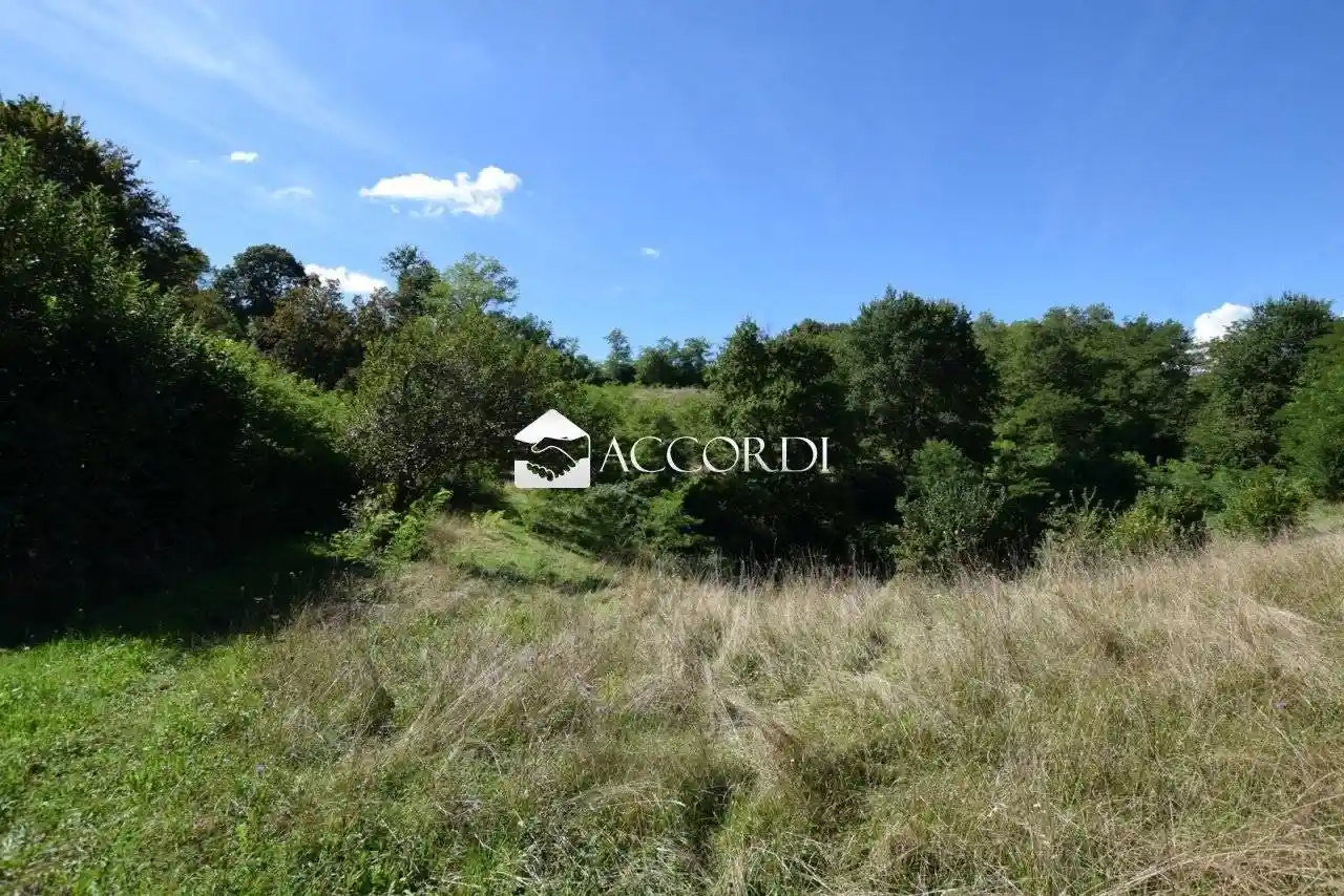 Rustico - Casale in vendita a Volpago del Montello