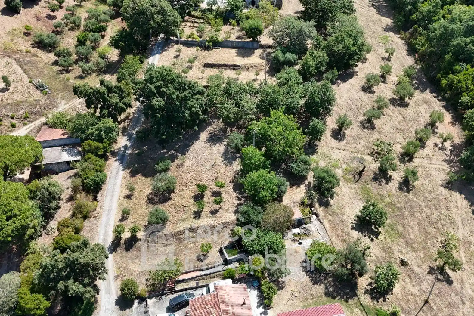 Villa unifamiliare Contrada Giunco 56, Baia del Carpino, Petrosa, Piano Grande, Scalea - foto 4