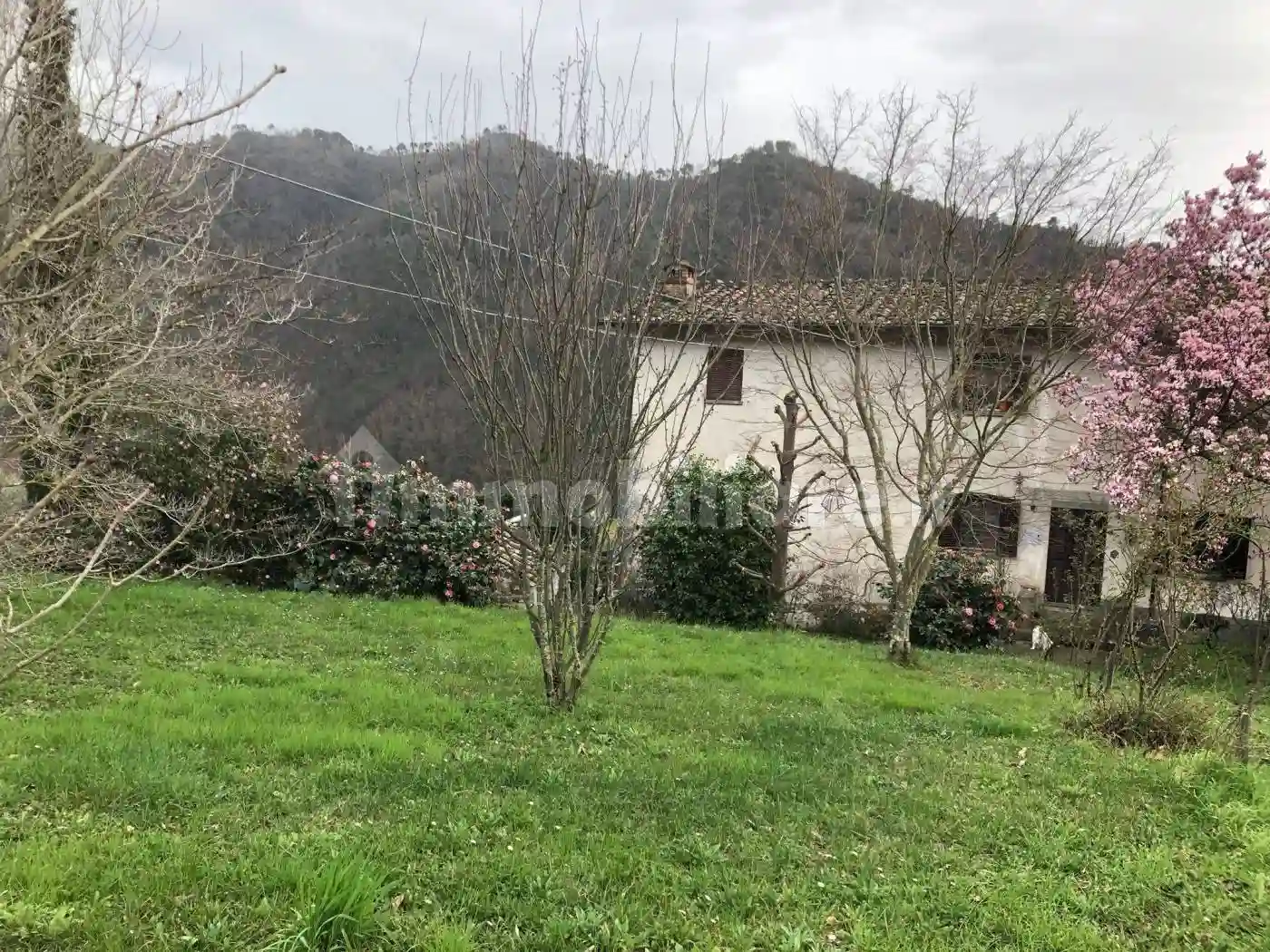 Casa colonica via San Giusto di Brancoli, Brancoleria, Lucca - foto 4