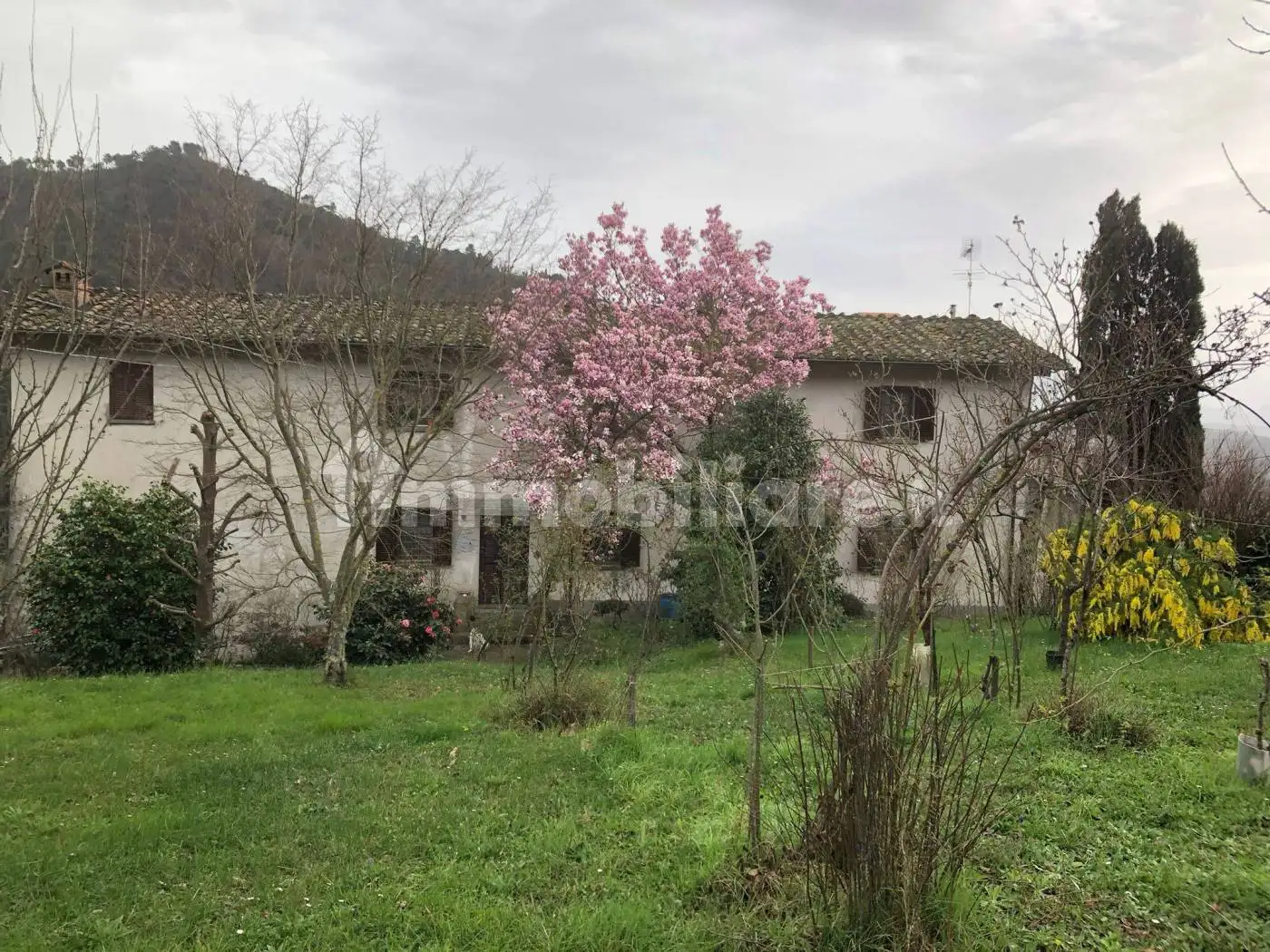 Rustico - Casale in vendita a Lucca