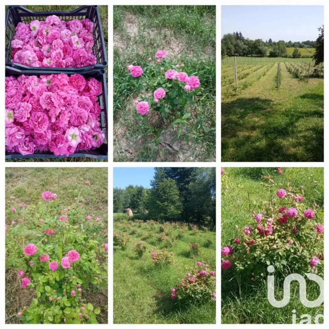 Villa in vendita a Cafasse