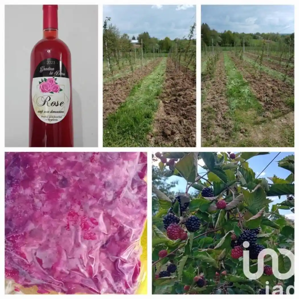 Villa unifamiliare via montebasso, Centro, Cafasse - foto 3