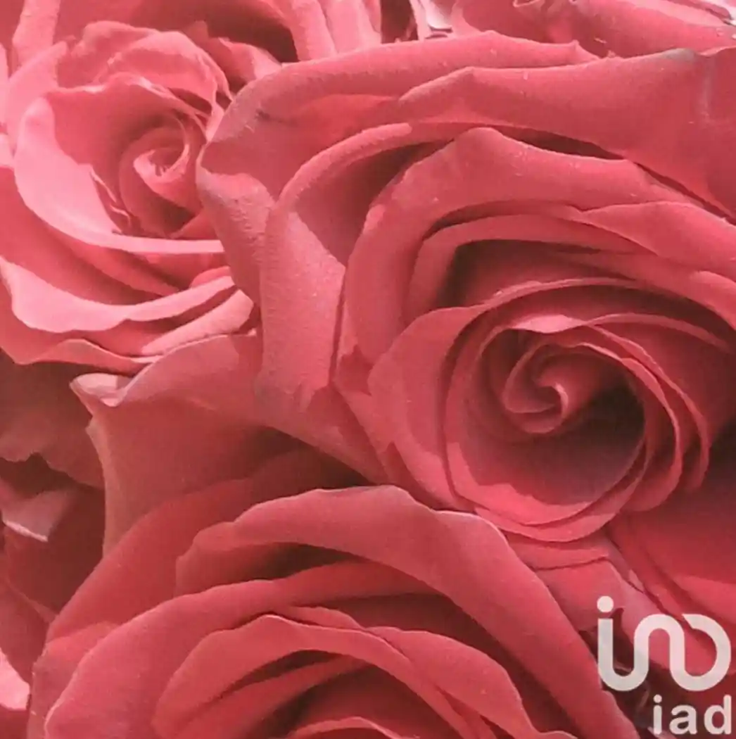 Villa unifamiliare via montebasso, Centro, Cafasse - foto 4