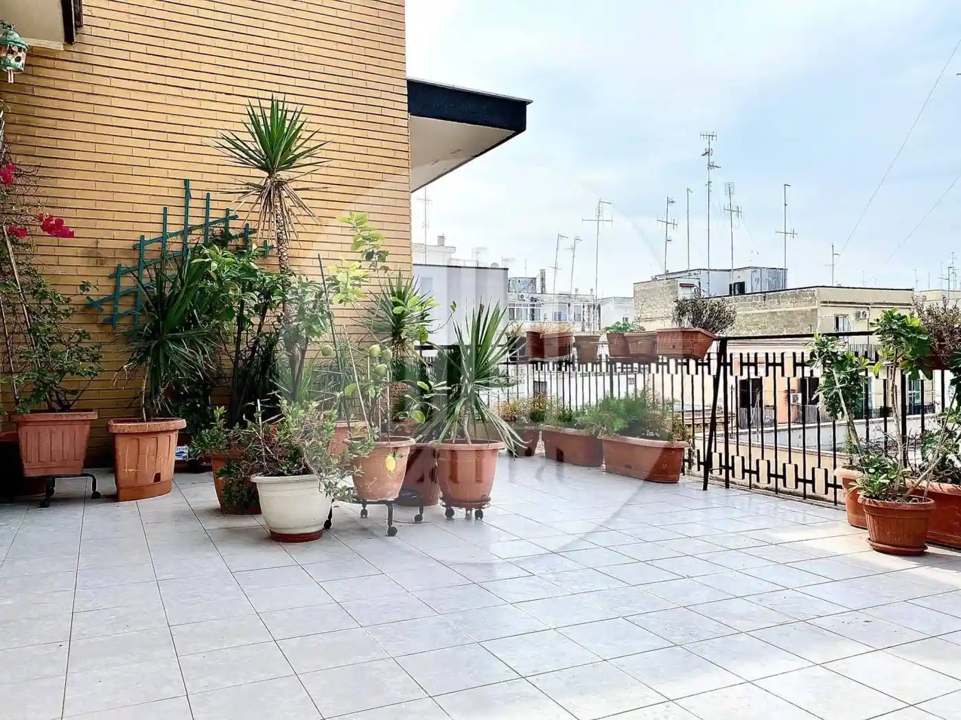 Appartamento in affitto a Bari