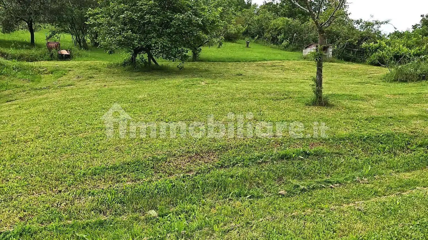 Casale Località Costa, Pozzolo, Bore - foto 3