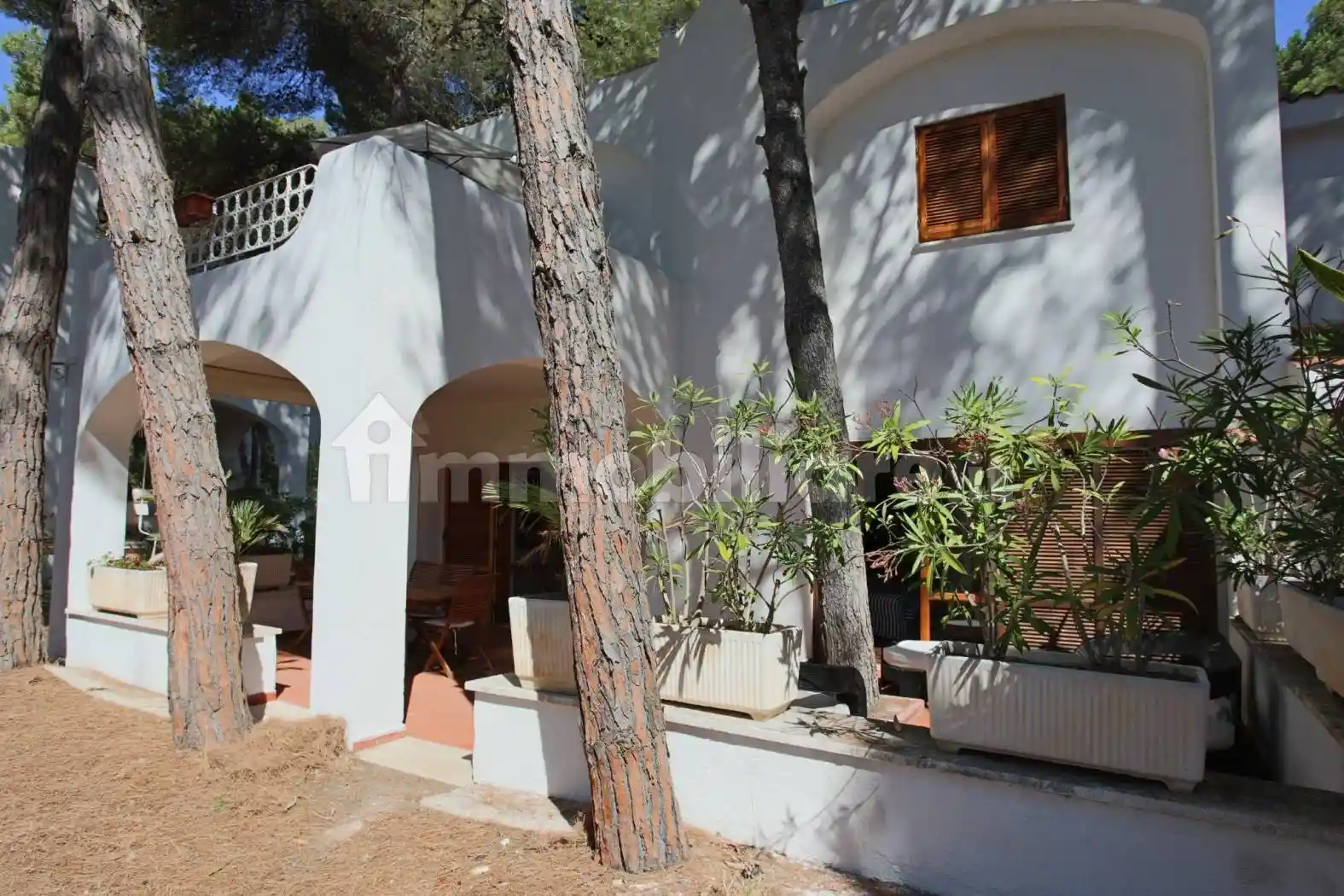 Villa unifamiliare Sp364, San Cataldo, Lecce - foto 5