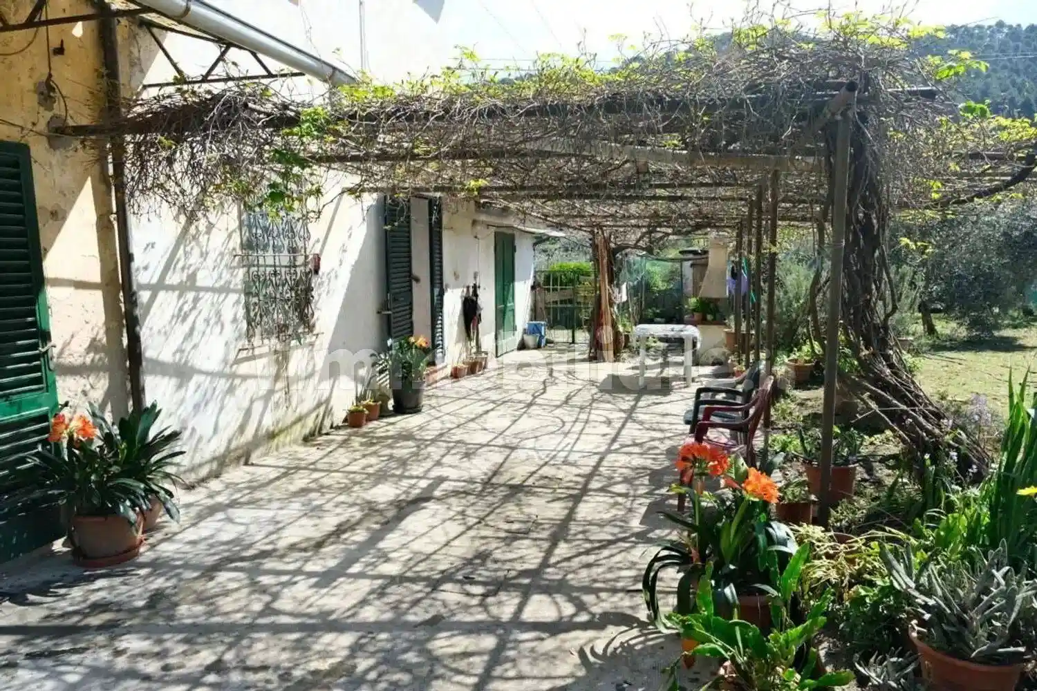 Villa unifamiliare via Di Malavolta, 1, Vorno, Capannori - foto 4