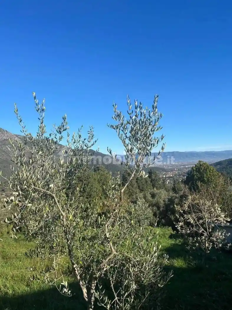 Rustico Urb. San Lorenzo A Vaccoli Neighbourhood: San Lorenzo A Vaccoli, San Lorenzo a Vaccoli, Lucca - foto 4