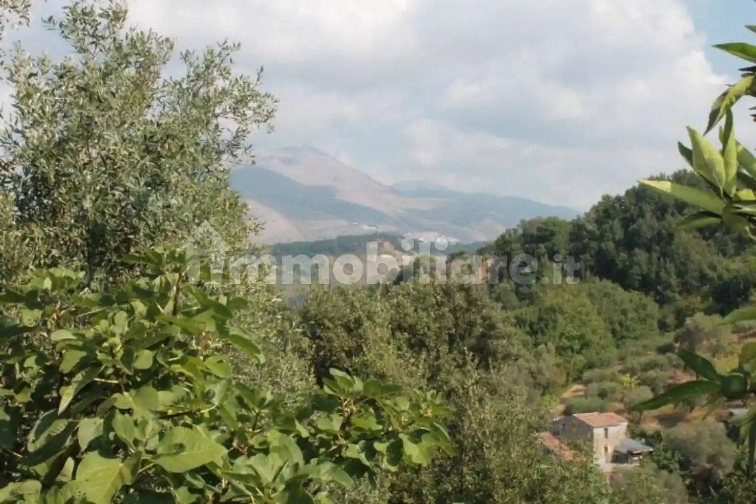 Villa unifamiliare Contrada Castiglione, 29, Orsomarso - foto 5