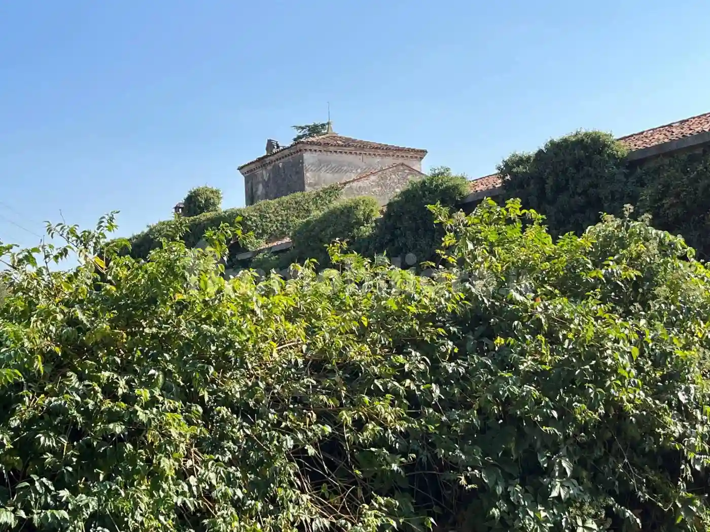 Palazzo - Edificio - foto 5