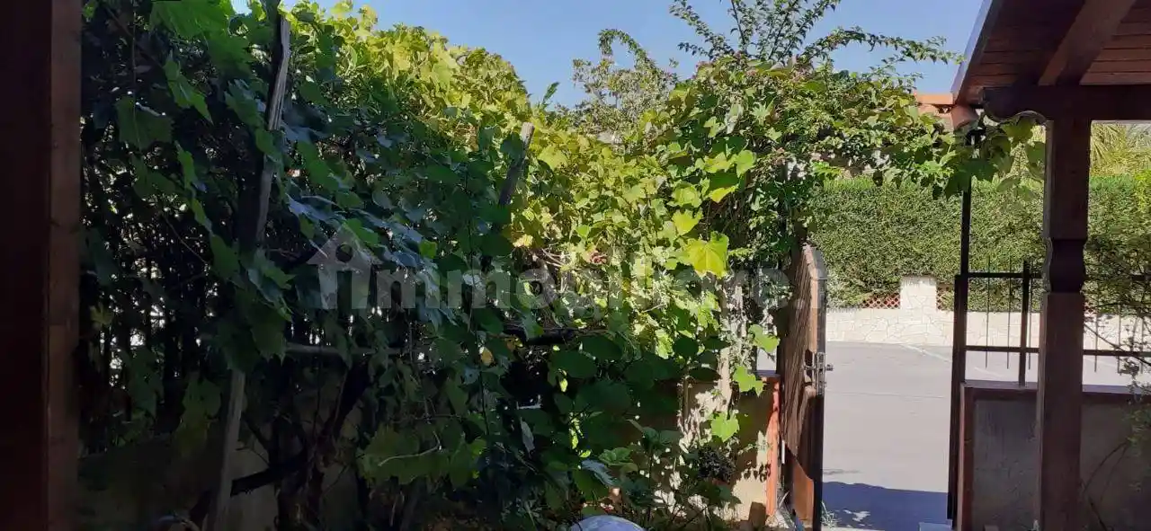 Villa unifamiliare via Antonio Scopelliti, Santa Maria del Cedro - foto 2