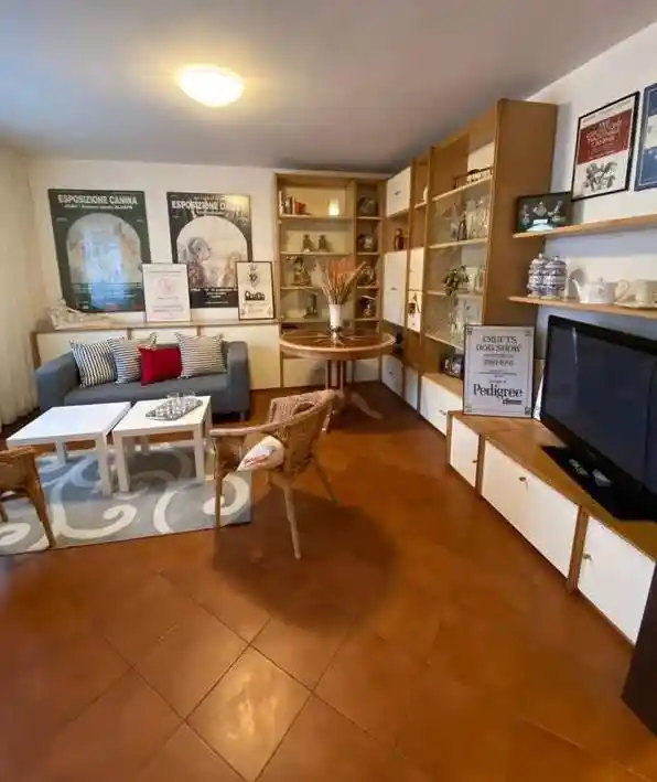 Villa in affitto a Viareggio