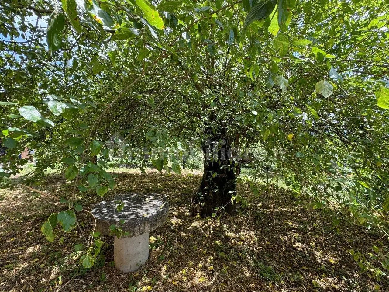Casale Contrada Porcini, Amaseno - foto 3