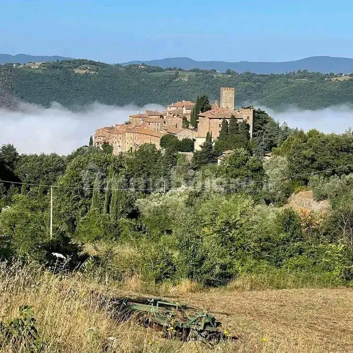 Rustico - Casale in vendita a Parrano