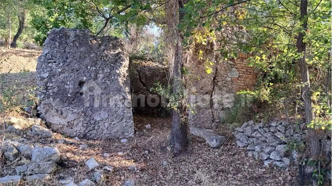 Rustico - Casale in affitto a Minturno