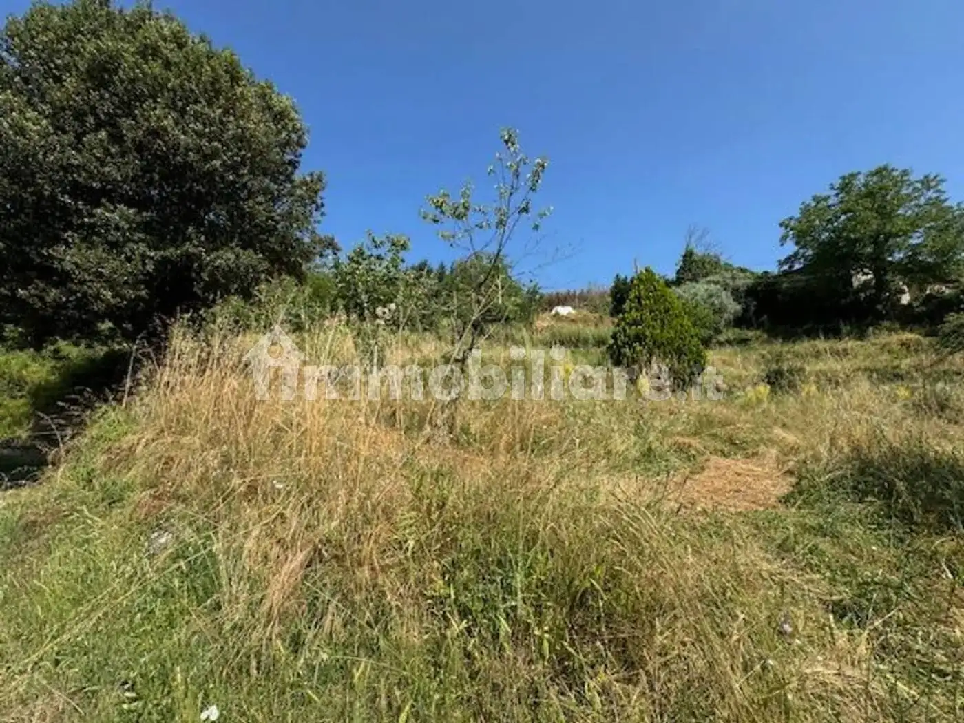 Rustico Località Isola No Number, Cetica, Castel San Niccolò - foto 2