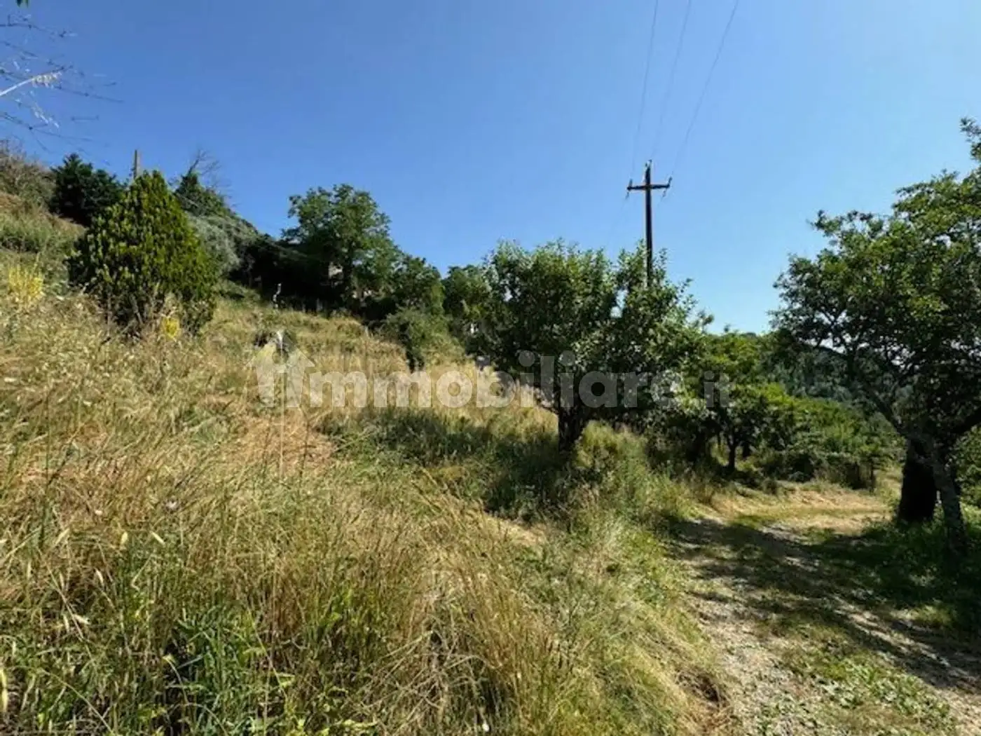 Rustico Località Isola No Number, Cetica, Castel San Niccolò - foto 3