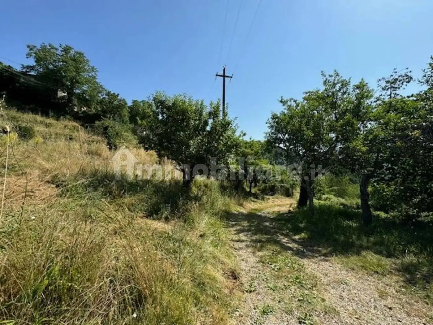 Rustico Località Isola No Number, Cetica, Castel San Niccolò - foto 4