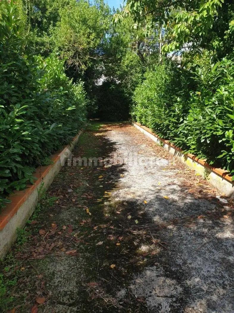 Rustico - Casale in vendita a Forino