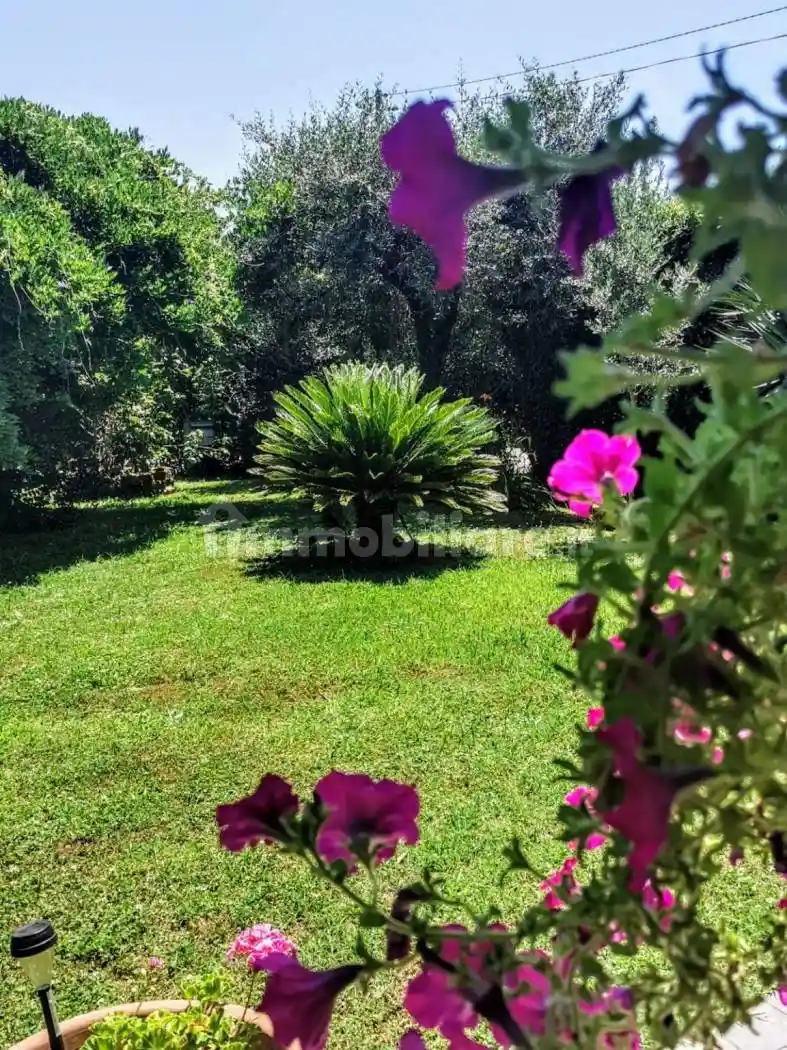 Villa bifamiliare via Roma, Capanne, Prato, Montignoso - foto 2