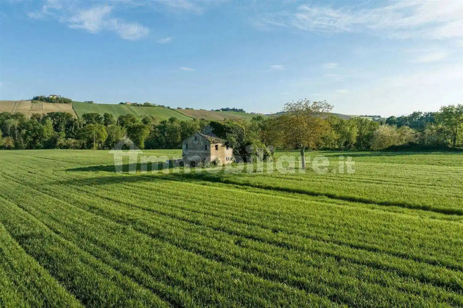 Cascina, da ristrutturare, 260 m², Borgo Minonna, Jesi - foto 2