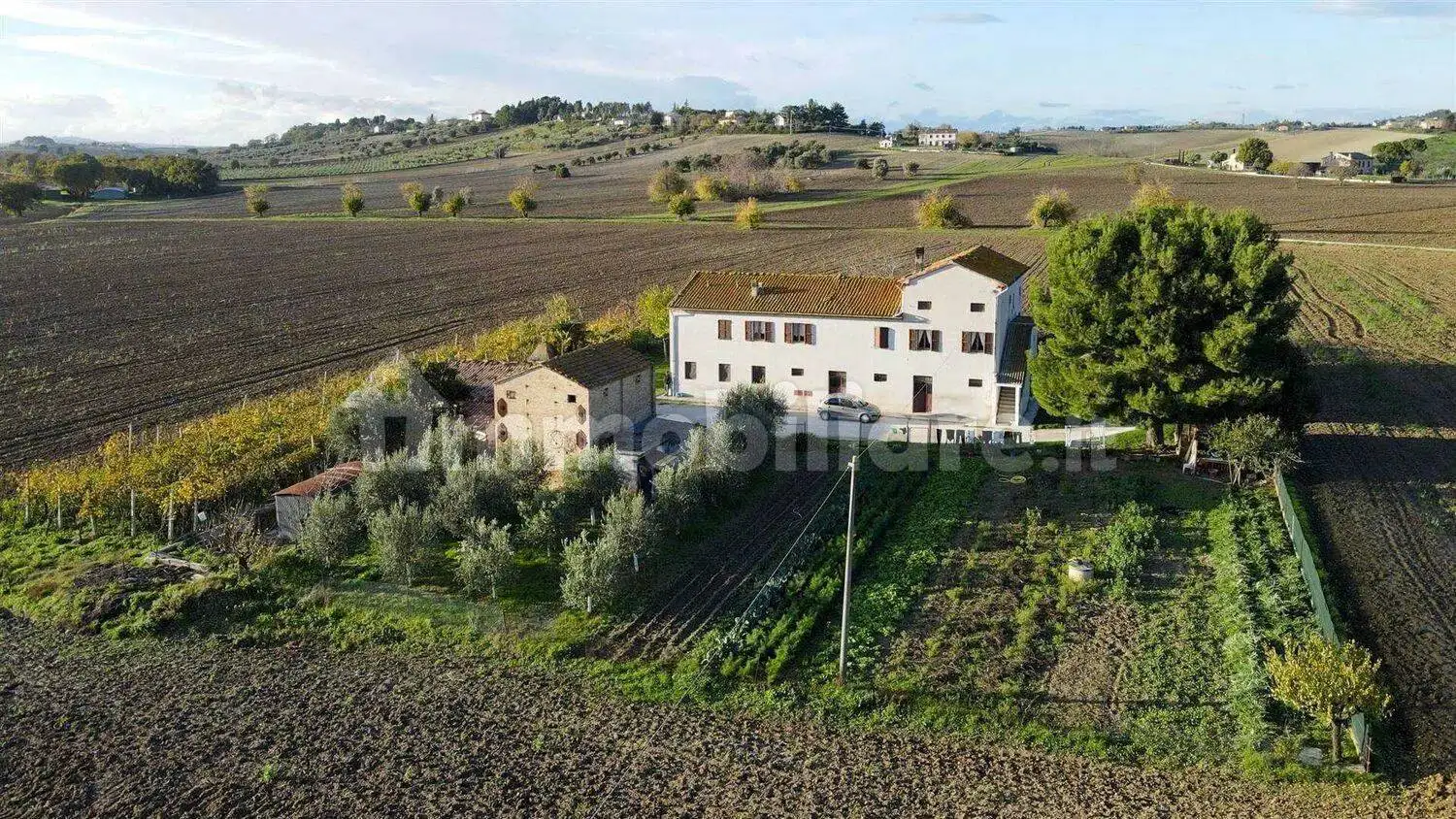 Rustico - Casale in vendita a Jesi