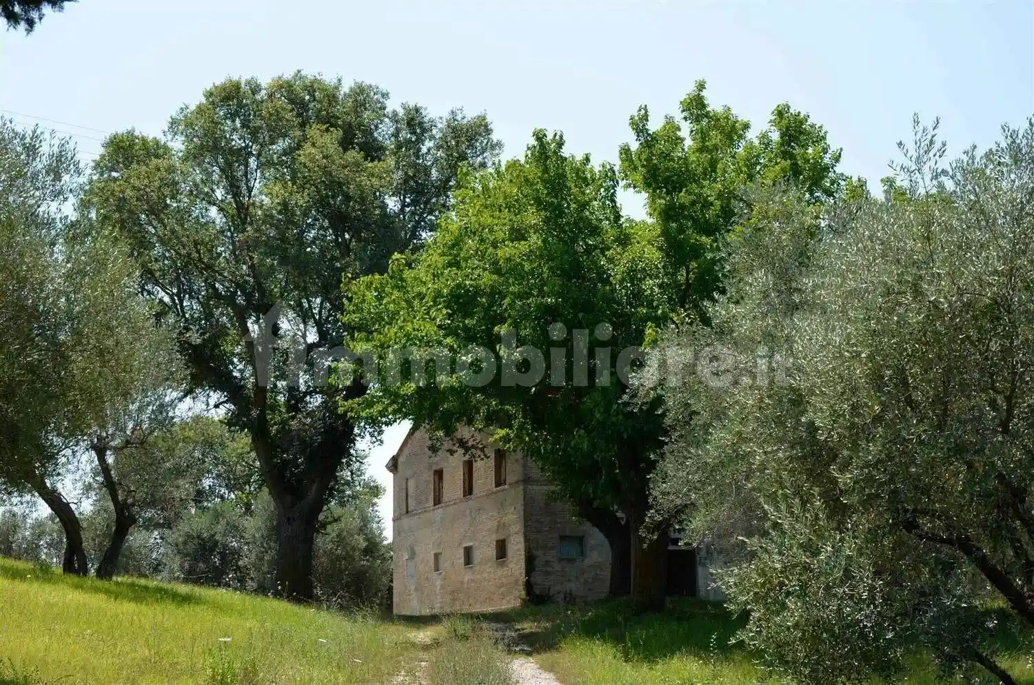 Cascina via Mazzangrugno No Number, Borgo Minonna, Jesi - foto 3