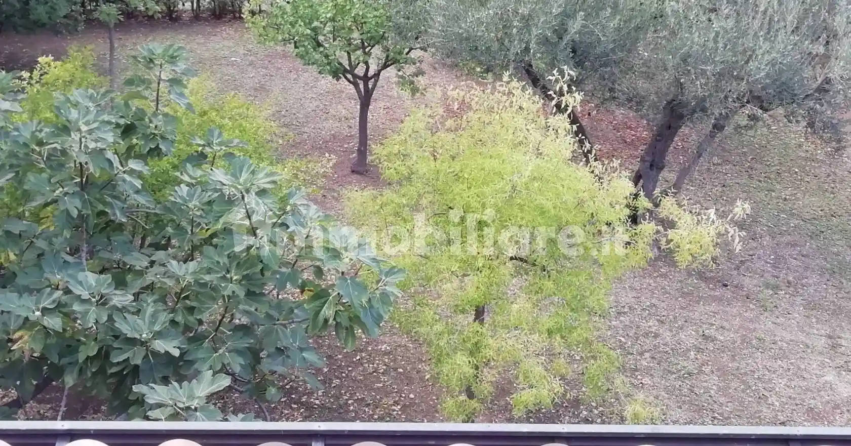 Villa unifamiliare via Francesco Masciangelo, Centro, Lanciano - foto 2