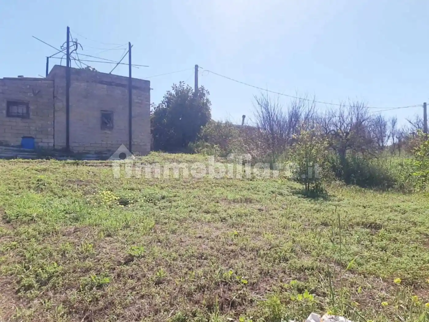 Rustico - Casale in vendita a Scordia