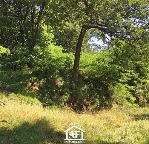 Rustico via Chiarli, Belforte Monferrato - foto 4