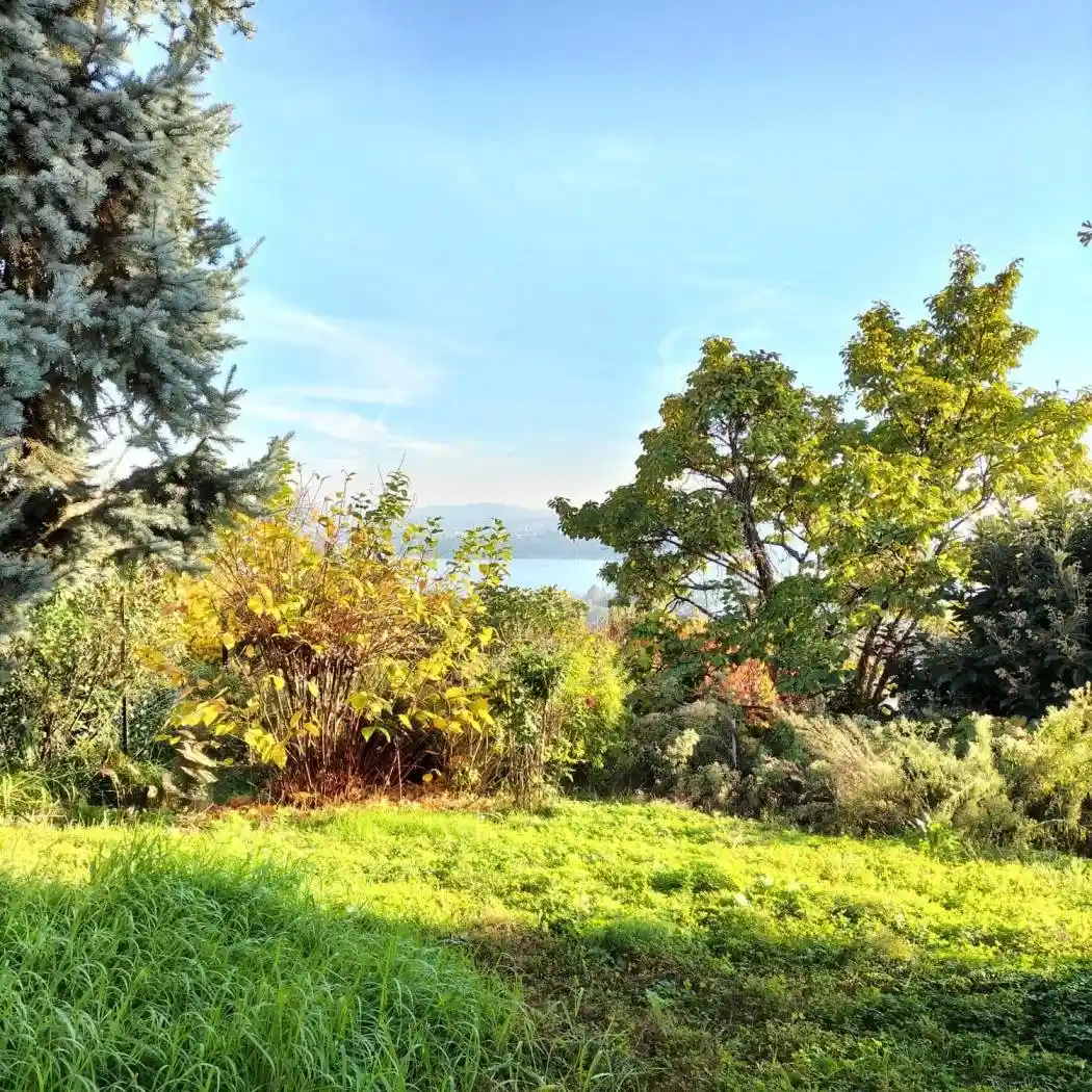 Villa in vendita a Erba