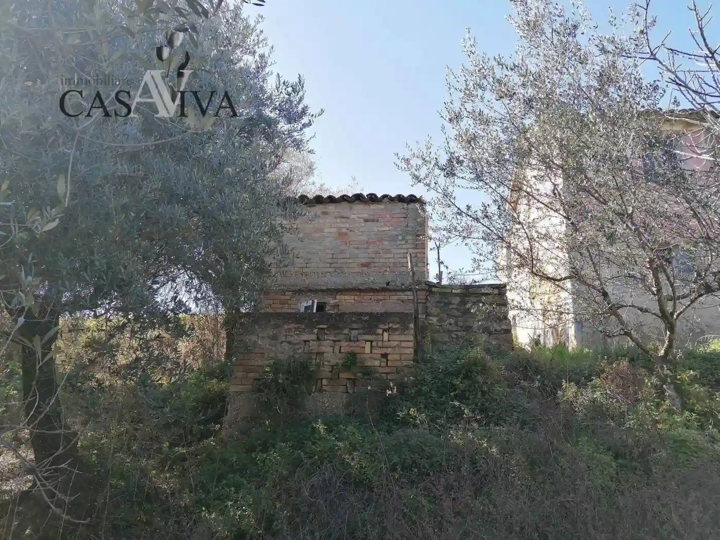 Rustico - Casale - foto 5