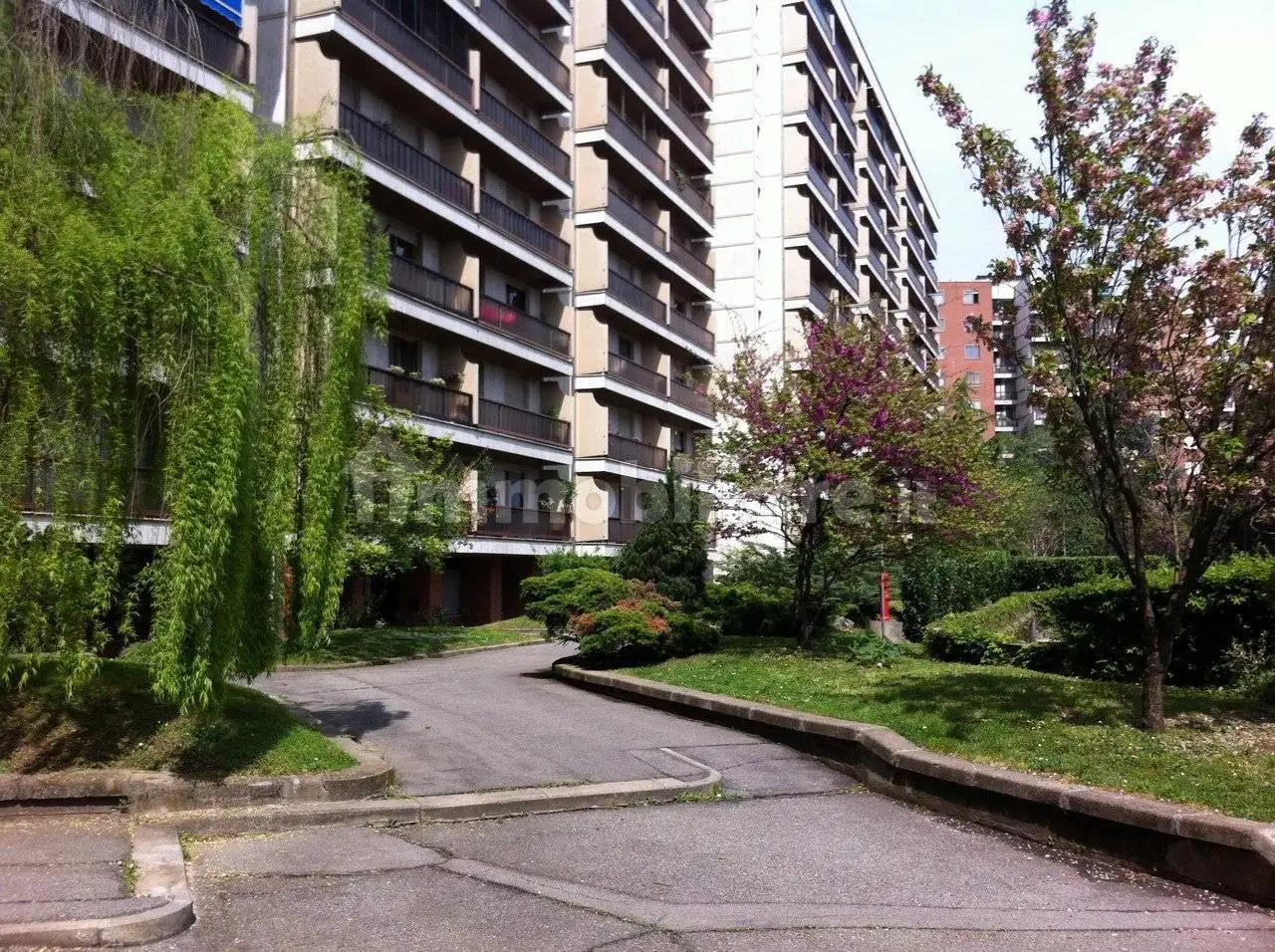 Appartamento in affitto a Torino