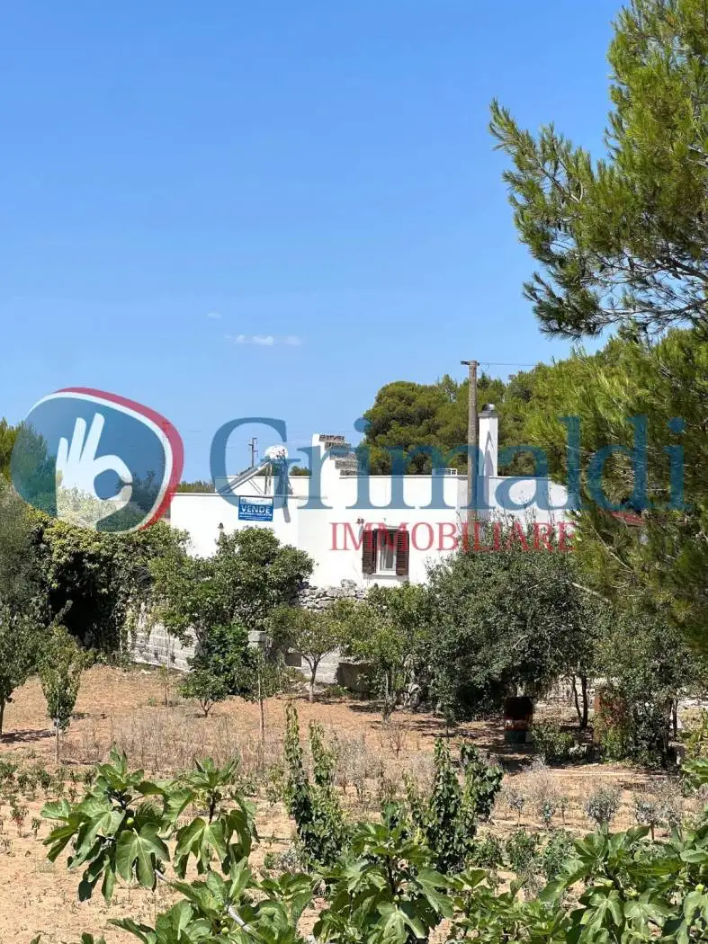 Villa unifamiliare Masseria diso il tabacchificio, Diso - foto 3