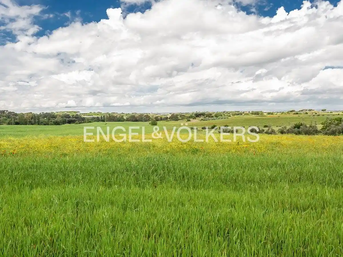 Casale via di Fioranello, Fioranello, Roma - foto 2