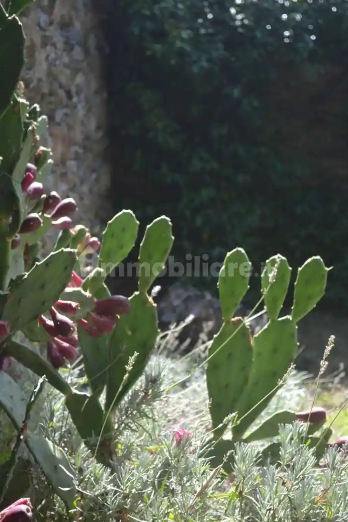 Villa unifamiliare loc.villa, Vernazza - foto 2