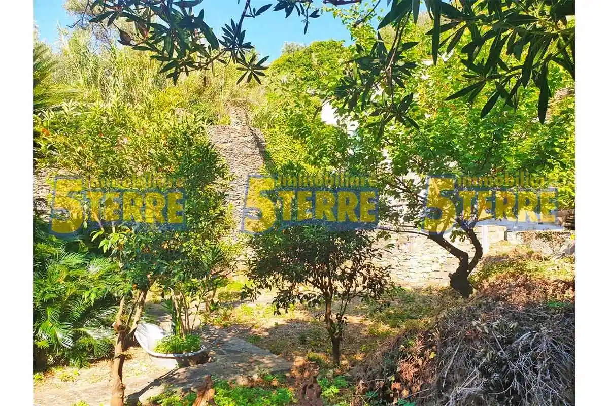 Villa unifamiliare loc.villa, Vernazza - foto 4