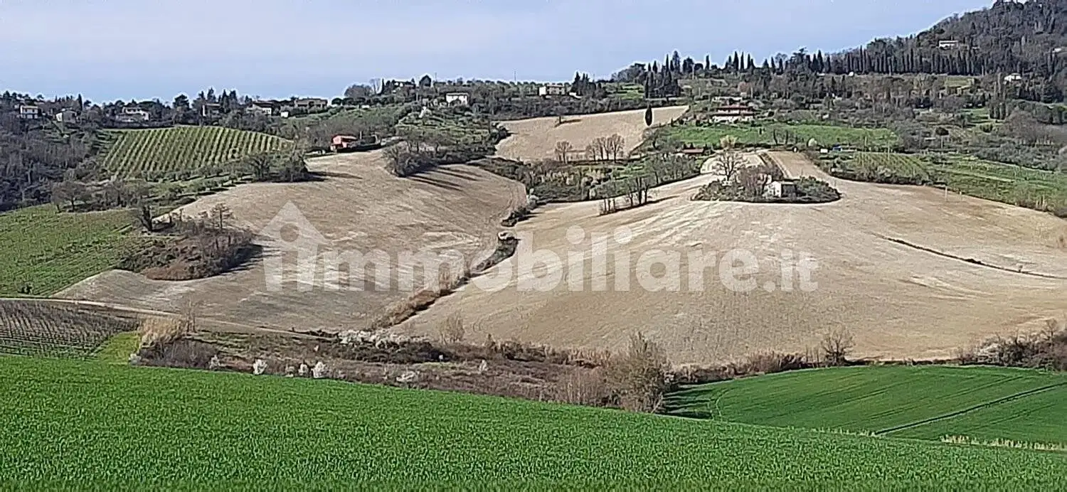 Rustico - Casale in vendita a Bertinoro
