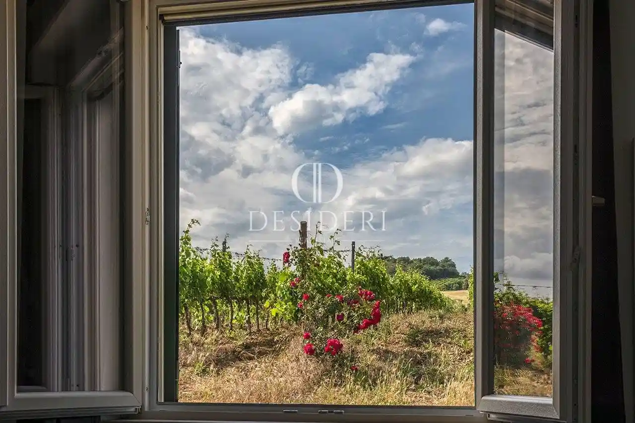 Rustico - Casale in vendita a Magliano in Toscana