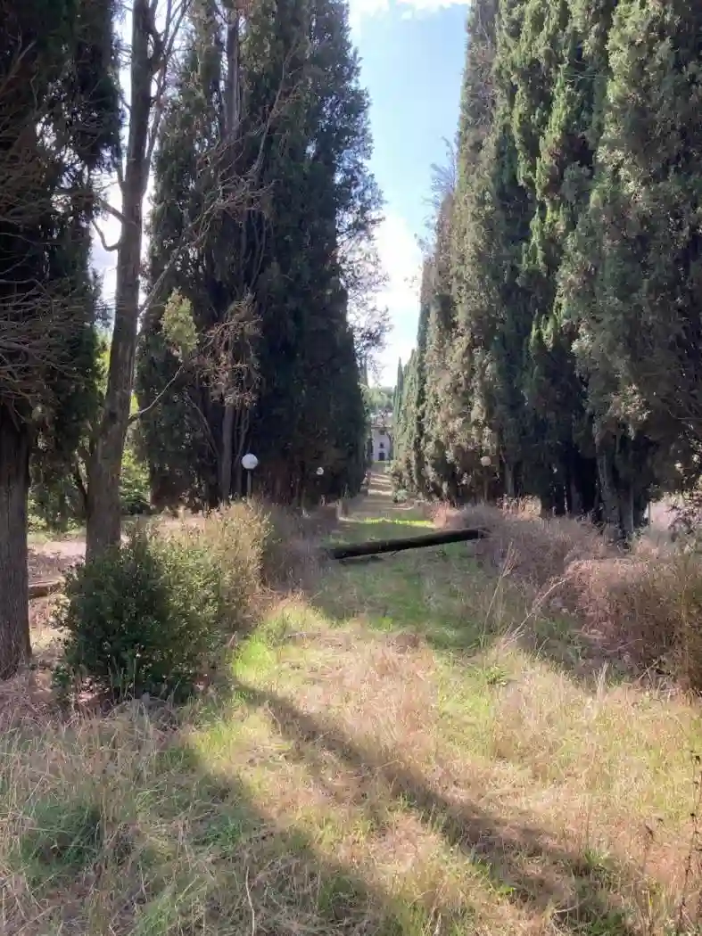 Palazzo - Edificio - foto 4