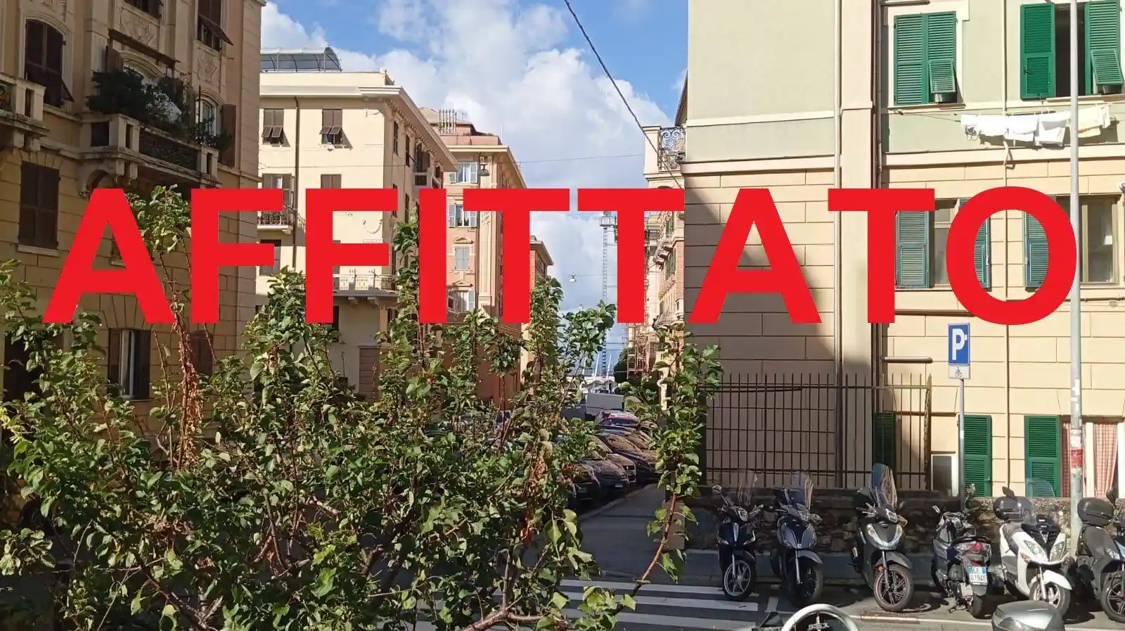 Appartamento in affitto a Genova