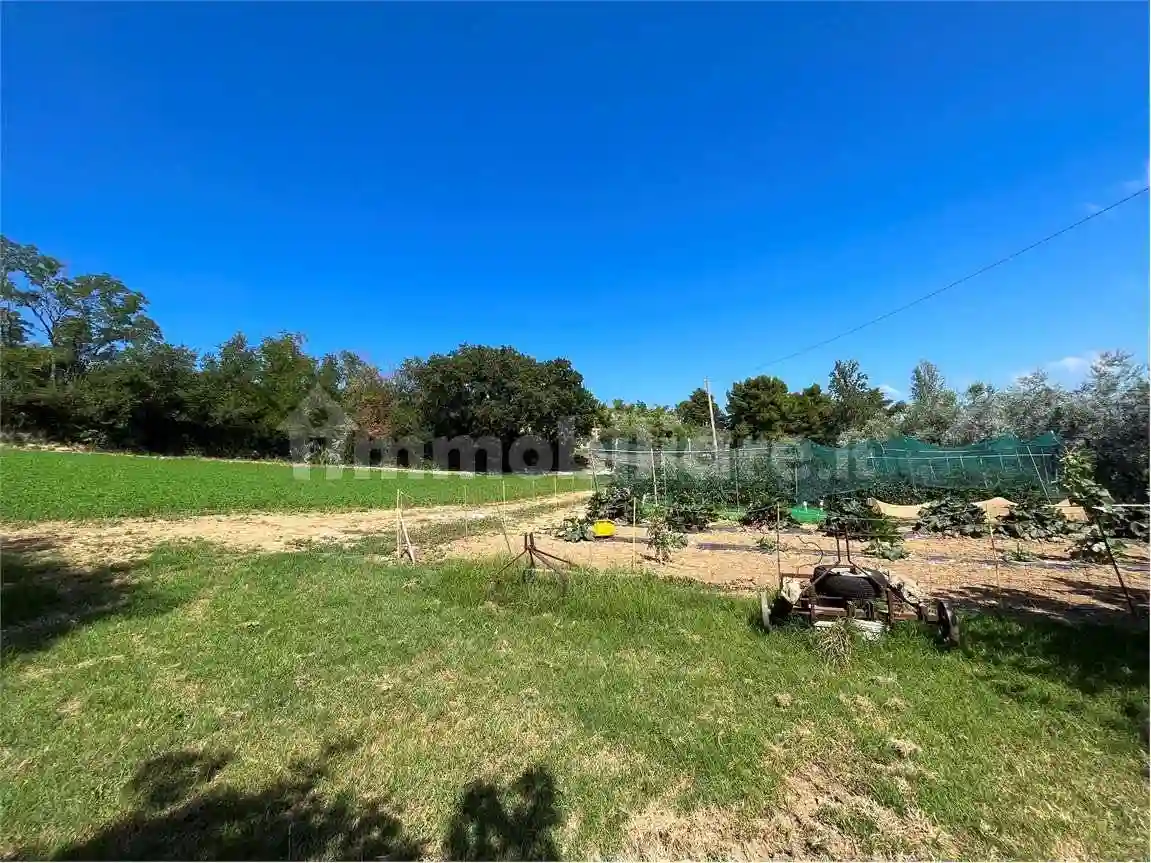 Rustico - Casale - foto 5