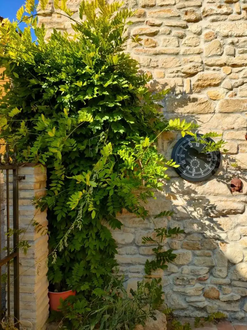 Villa unifamiliare via del Mattatoio, Centro, Camerano - foto 2