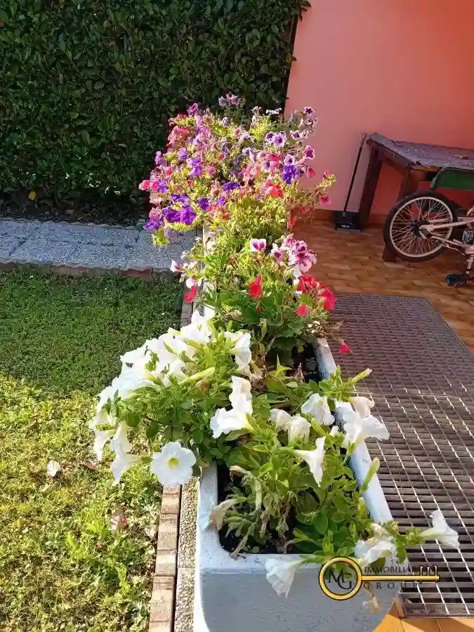 Villetta a schiera - foto 5