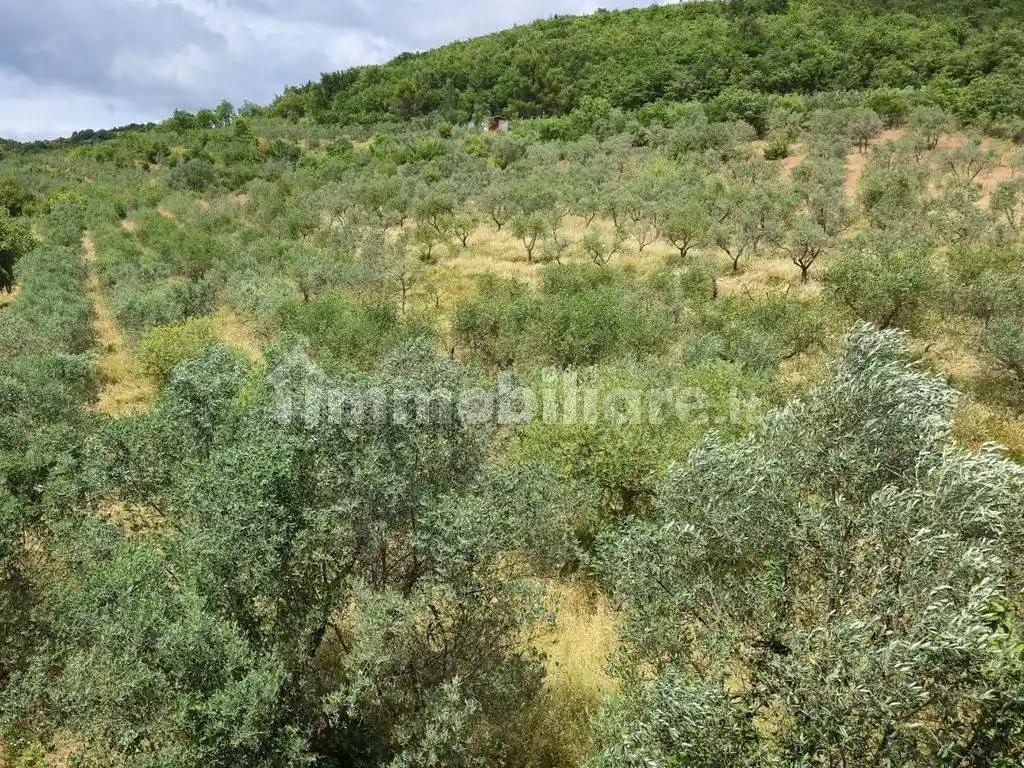 Rustico piazza Guido Monaco, Porta San Lorentino, Arezzo - foto 4