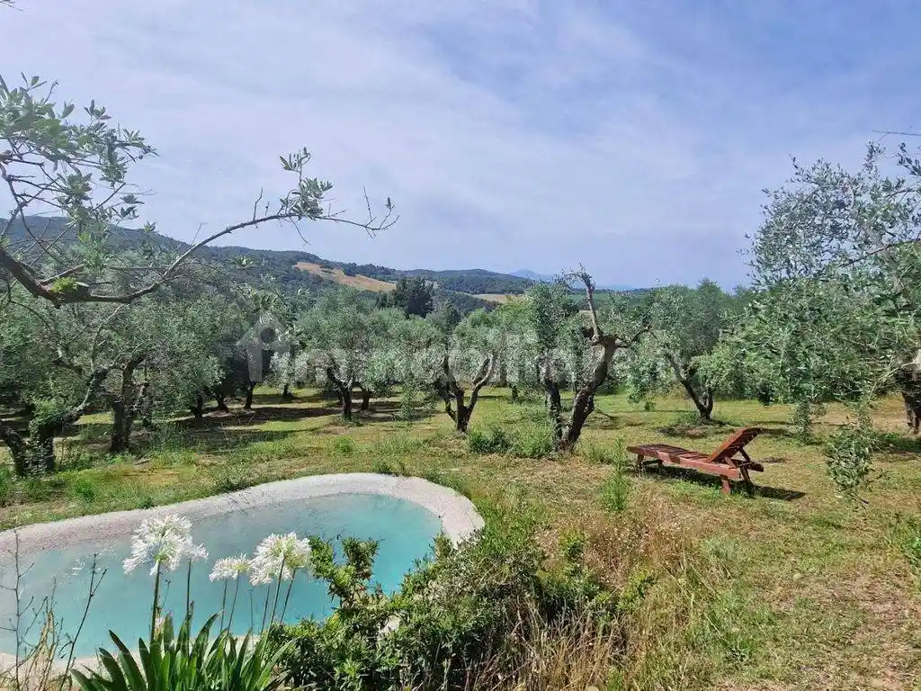 Rustico - Casale in vendita a Trequanda