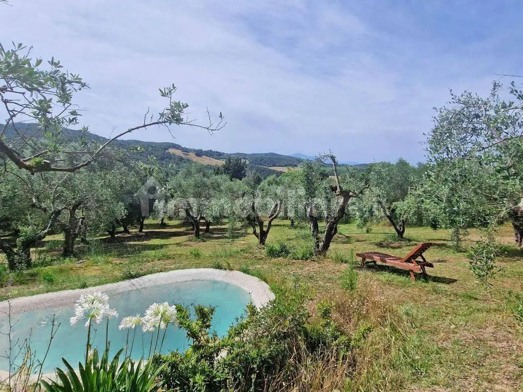 Rustico - Casale in vendita a Trequanda