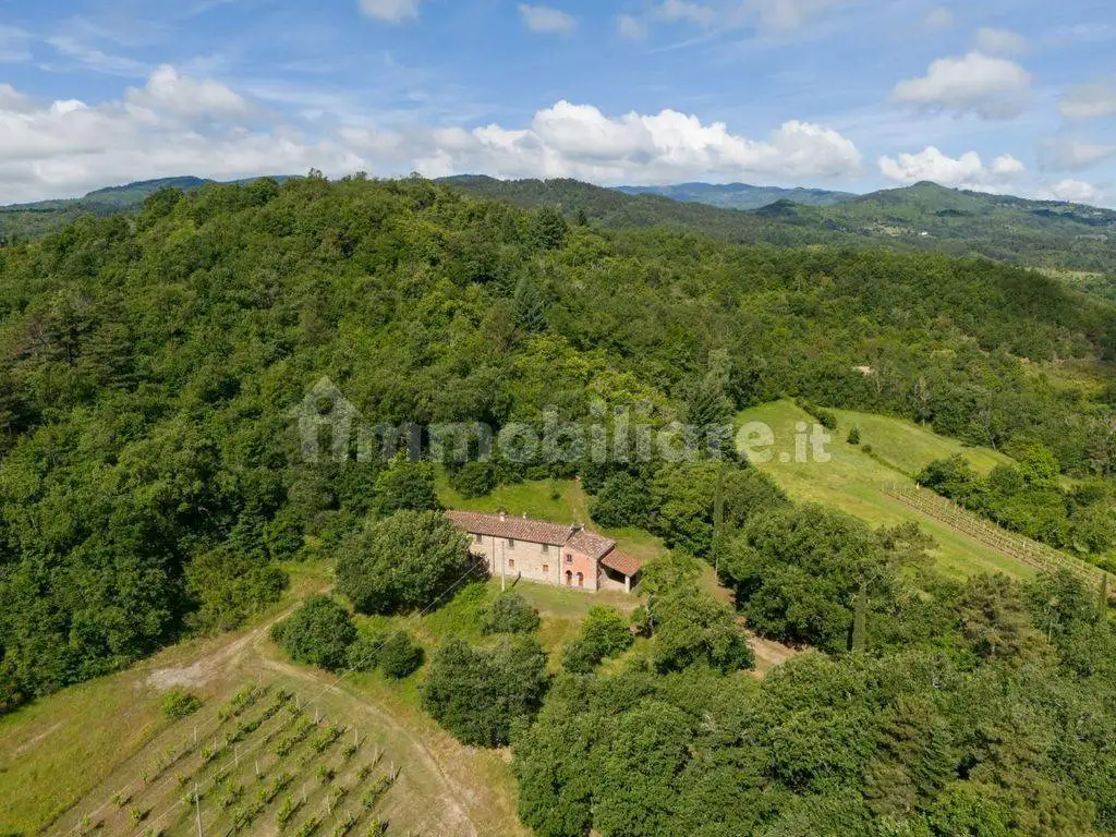 Rustico - Casale in vendita a Castel Focognano