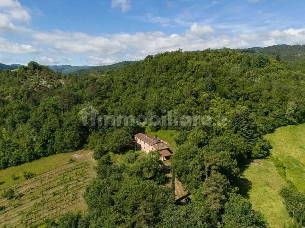 Rustico sc delle grete, Castel Focognano - foto 2